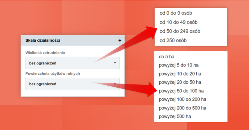 Zrzut 10 - Jak utworzyć bazę