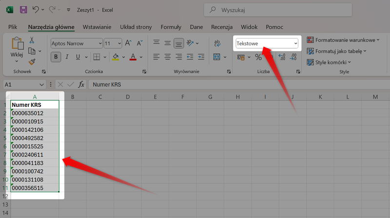 Zrzut 1 - Jak pobrać dane z MGBI API przez Power Query w programie Microsoft Excel