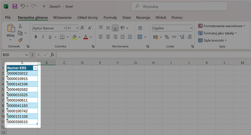 Zrzut 3 - Jak pobrać dane z MGBI API przez Power Query w programie Microsoft Excel
